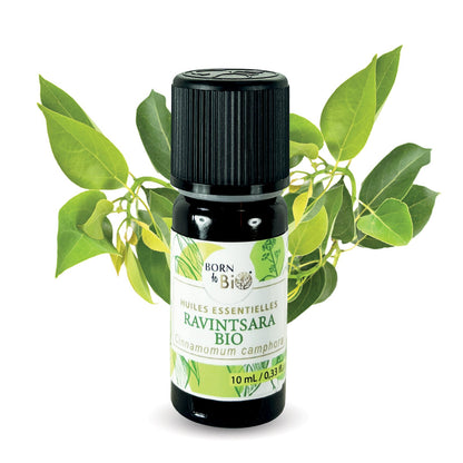 Ravintsara Organic essential oil