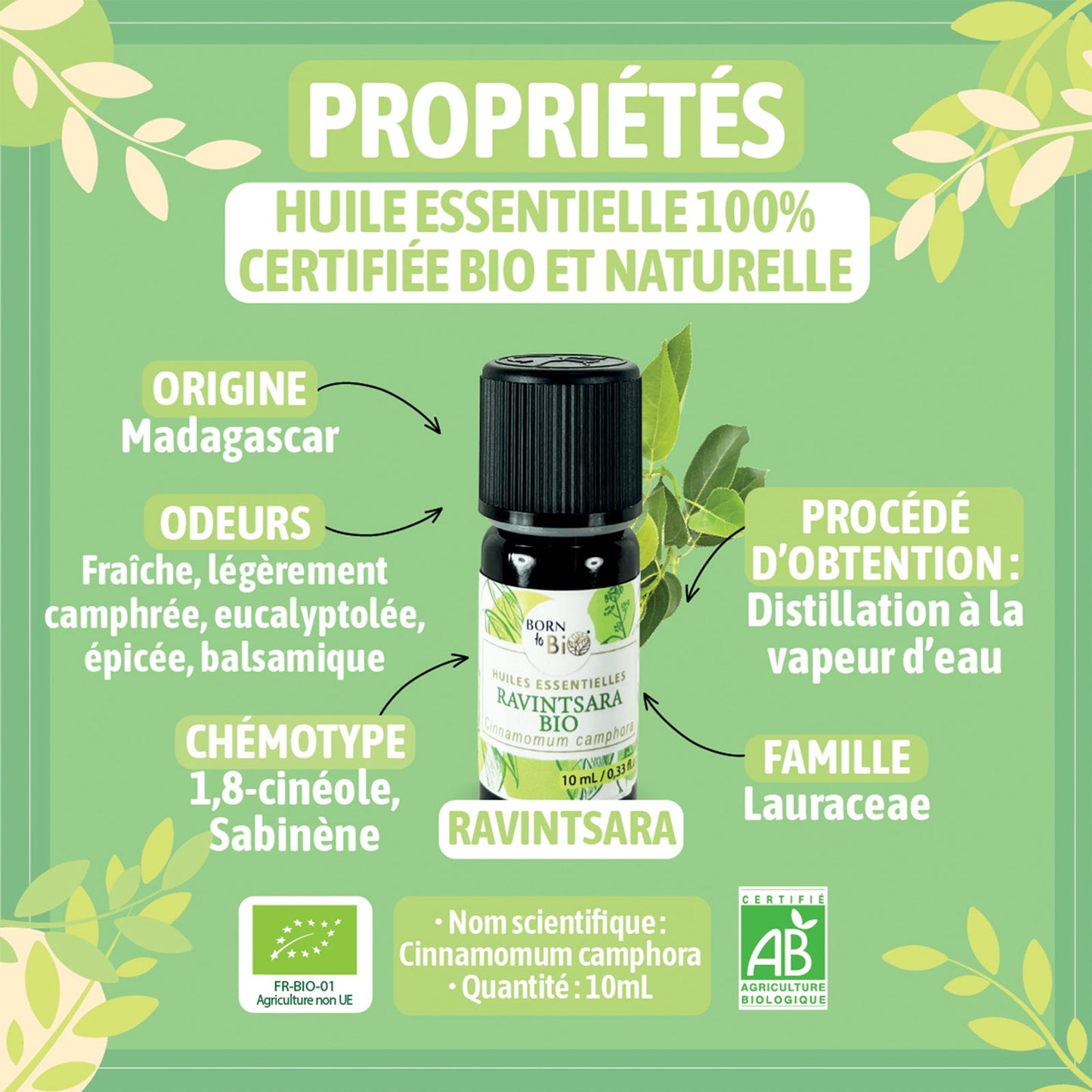 Ravintsara Organic essential oil